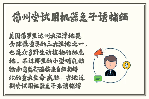 国产you女视频